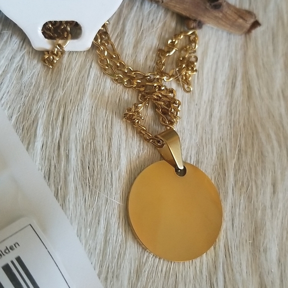 Stainless Steel Disc Neclace - Picture 3 of 5